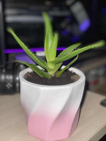 Фотоаппараты: Фотоаппарат Nikon D3200 Nikon D3200 зеркальный фотоаппарат Много — 8