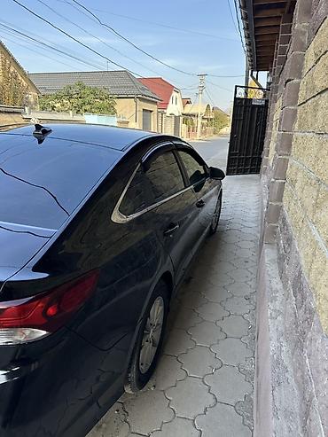 Hyundai: Hyundai Sonata: 2019 г., 2.4 л, Автомат, Бензин, Седан — 9