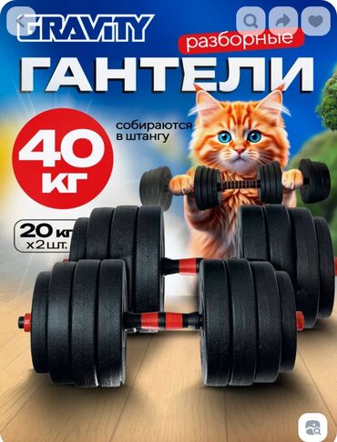 гантели виниловые euro classic: Гантели 40кг разборные