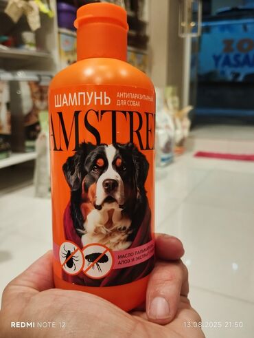 Oyuncaqlar: Amstrel brendinin itlər üçün nəzərdə tutulmuş parazit əleyhinə