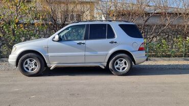 Mercedes-Benz: Mercedes-Benz ML 320: 1999 г., 3.2 л, Автомат, Газ, Внедорожник