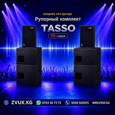 Рупорный комплект TASSO PS Профессиональная акустическая система для