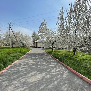 Посуточная аренда комнат: 222 м², С мебелью — 20