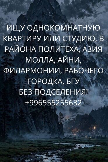 квартира в долгосрочную аренду: 1 комната