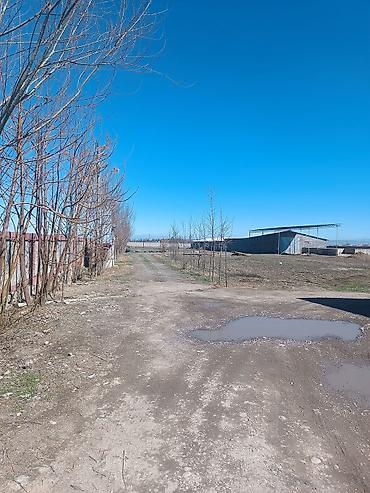 Продажа сельхоз предприятий: 1000 соток, Действующий, Частично с оборудованием, Электричество, Скважина, Холодная вода — 19