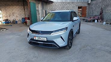 deu labo: BYD Yuan Up: 2025 г., Автомат, Электромобиль, Кроссовер — 1