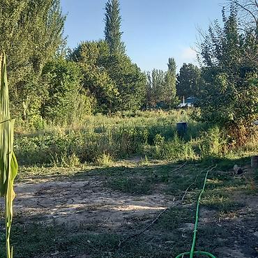 сел: Продаётся, дом 90 квадратных метров со свежим хорошим ремонтом — 10