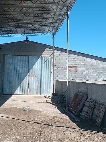 Продажа сельхоз предприятий: 1000 соток, Действующий, Частично с оборудованием, Электричество, Скважина, Холодная вода — 12