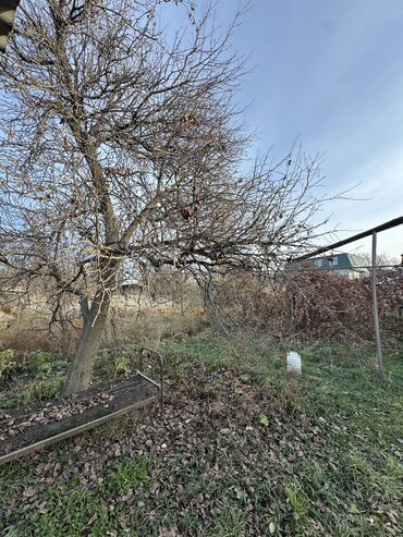 Продажа участков: 15 соток — 8