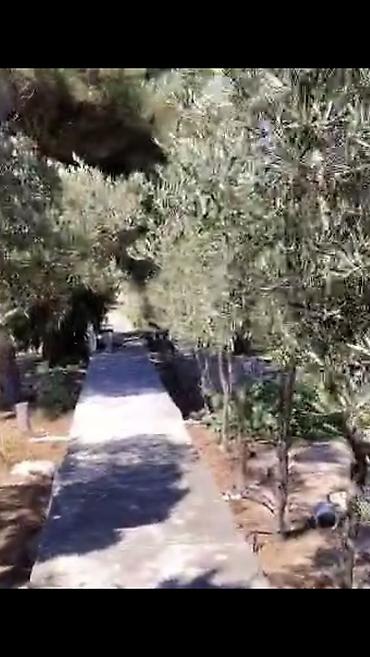 Bağ evlərinin satışı: Nardaran. Sea Breezele uz-beuz 44 sot, 6 dene ev (ayrica), 11 otag — 6