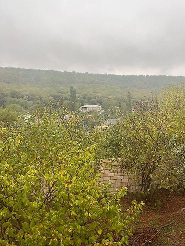 çuxuryurd ev satılır: 16 sot, Tikinti, Mülkiyyətçi, Kupça (Çıxarış) — 8