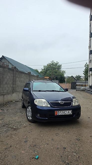 тоета кариб: Toyota Corolla: 2005 г., 1.6 л, Механика, Бензин, Универсал — 2