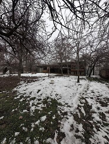 Продажа коттеджей и домов: 📍 В Сокулуке от трассы 100 метров продаётся дом на участке 13.5 соток — 5