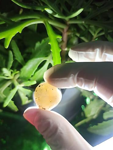 Digər kolleksiyalar: İşıq keçirən Təbii Mineral Daşlar 💎Qiymətlə bağlı maraqlananlar zəhmət — 9