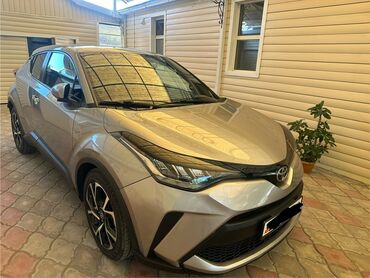 Toyota: Toyota C-HR: 2019 г., 2 л, Автомат, Бензин, Кроссовер