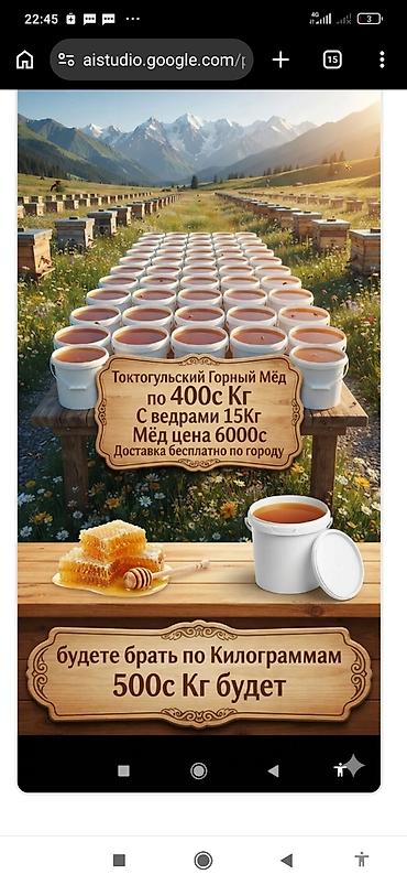 пчеловода: Токтогульский натуральный горный мёд Кг по 400с Доставка по городу — 2