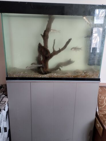 Декор для дома: Продается аквариум заводской
