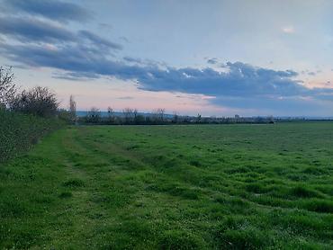 Torpaq sahələrinin satışı: Kənd təsərrüfatı — 2