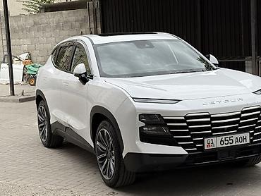 byd e2: Jetour Dasheng: 2023 г., 1.6 л, Автомат, Бензин, Кроссовер — 6
