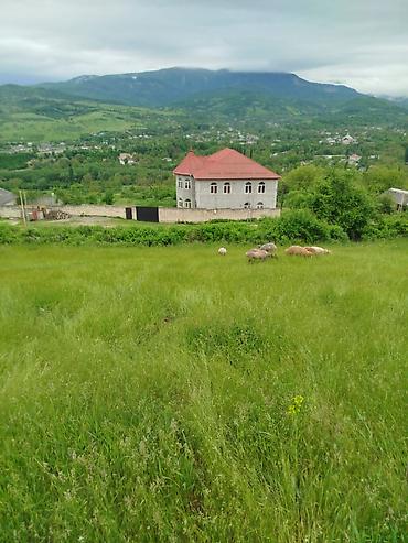 ismayilli torpaq: 5 sot, Tikinti, Mülkiyyətçi, Kupça (Çıxarış) — 9