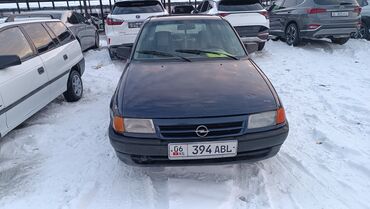 Opel: Opel Astra: 1992 г., 1.4 л, Механика, Бензин, Хэтчбэк