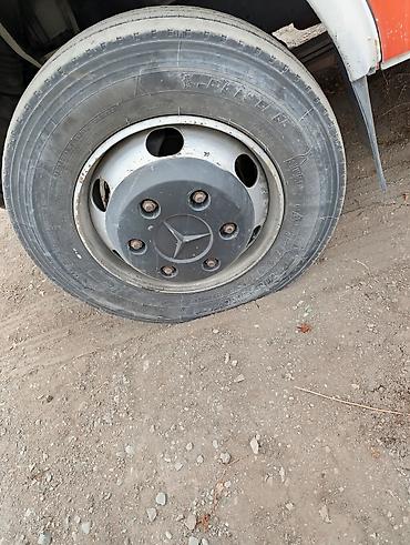 Mercedes-Benz: Mercedes-Benz Vario: 2001 г., 4.3 л, Механика, Бус — 4