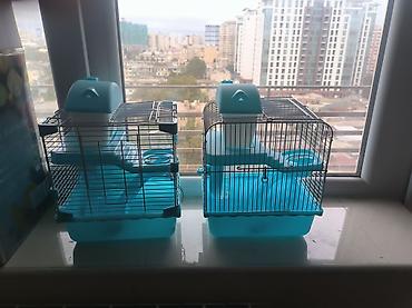 hamster al: Xamiyaq – 2 ədəd 1 təzədi biri işdənib - Rəng: mavi-ağ (plastik — 2
