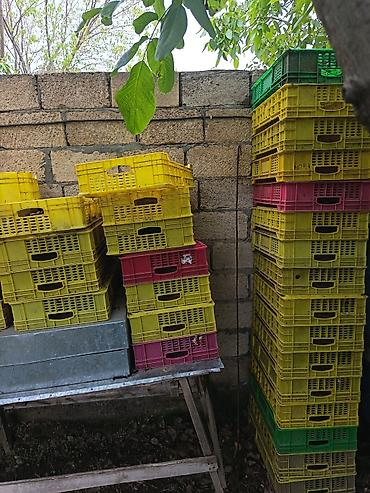 kantener: Plastik yığım yeşikləri (kasa) - Rənglər: sarı, yaşıl, çəhrayı — 1