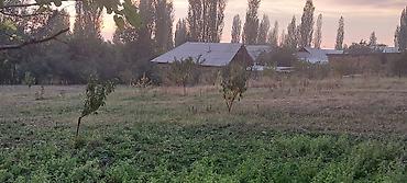 Продажа участков: 30 соток at lalafo.kg — 13 Продажа участков: 30 соток — 13