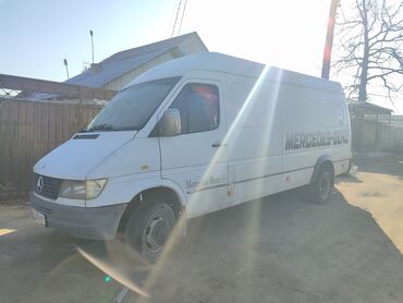 mercedesbenz sprinter дилфин: Продаю спринтер тди 2.9