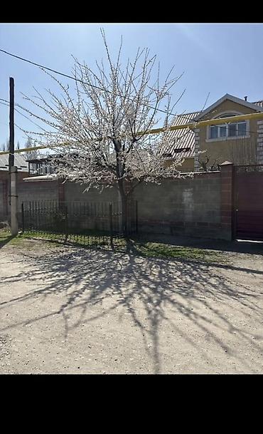 корона дом: Продаётся частный дом с благоустроенным двором. - Двухэтажный жилой — 1