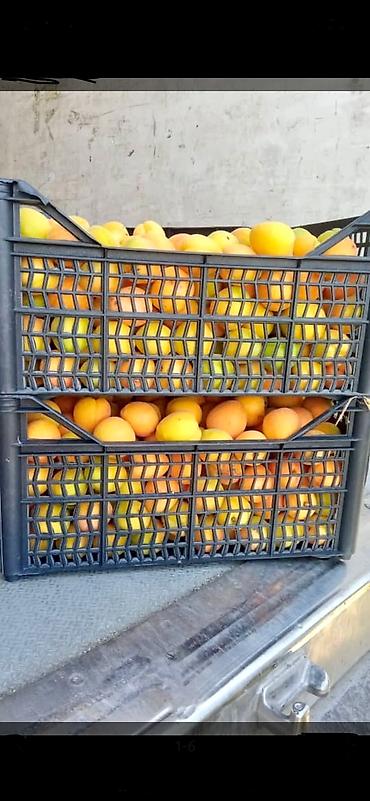 Ящики: Ящик, Новый — 7