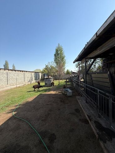 Продажа домов: Дом, 78 м², 3 комнаты, Агентство недвижимости, Старый ремонт at lalafo.kg — 12 Продажа домов: Дом, 78 м², 3 комнаты, Агентство недвижимости, Старый ремонт — 12