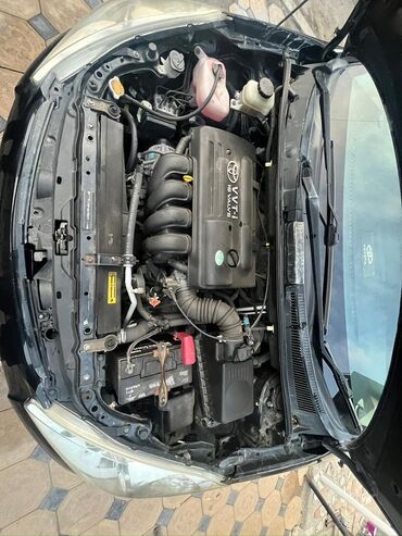 fit rs: Toyota WISH: 2008 г., 1.8 л, Вариатор, Бензин, Минивэн