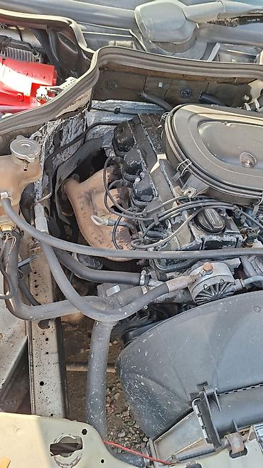 Mercedes-Benz: Mercedes-Benz W124: 1989 г., 2.3 л, Механика, Бензин, Универсал — 9