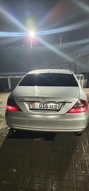 фонари освещения: Mercedes-Benz CLS-Class: 2004 г., Купе — 1