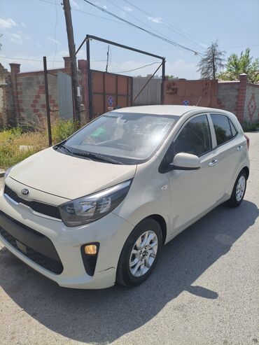 самая дорогая машина в кыргызстане 2023: Kia Morning: 2019 г., 1 л, Автомат, Бензин, Хэтчбэк