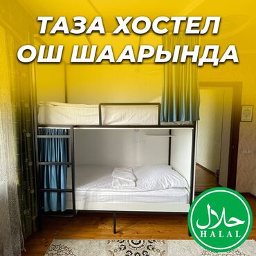 аренда частных домов: 🛏️ NOVO Хостели - ХАЛАЛ! ❤️ Ош шаарынын борборунда Адрес: Кадыркула