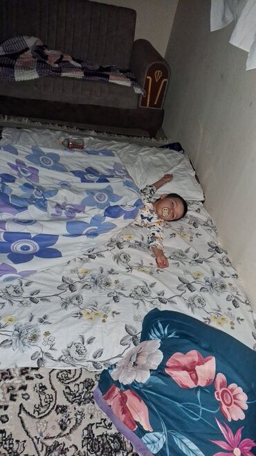 Kia: Kia Ceed: 1.6 l | 2007 il Hetçbek — 12