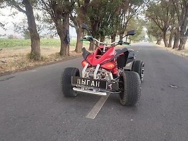 Квадроциклы: Квадроцикл Бензин, 250 куб. см, Взрослый at lalafo.kg — 12 Квадроциклы: Квадроцикл Бензин, 250 куб. см, Взрослый — 12