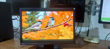Monitori: Monitor BenQ ET-0016-n 22" 100% ispravan Rezolucije ekrana: 1680 x — 4