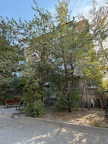 103 серия дома: 2 комнаты, 46 м², 104 серия, 1 этаж, Косметический ремонт — 9