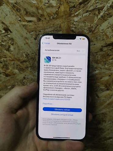 Apple iPhone: IPhone 12 Pro Max, Б/у, 128 ГБ, Защитное стекло, Чехол, 76 % — 1