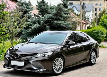 Toyota: Toyota Camry: 2019 г., 2.5 л, Автомат, Бензин, Седан
