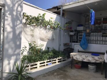 Həyət evləri və villaların satışı: Satılır: həyət evi (təmirli, həyətli sahə) - Plan: girişdə eyvanlı — 6