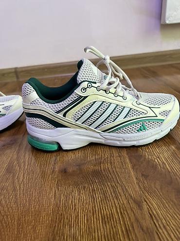 Кроссовки и спортивная обувь: Кроссовки Spiritain 2000 - Модель: Spiritain 2000 (ярлык с QR-кодом и — 13