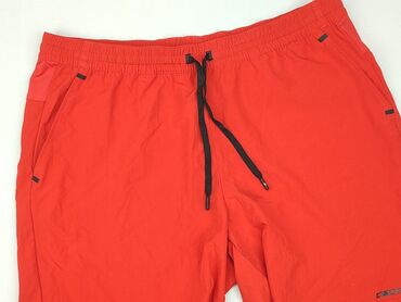 Shorts: Shorts for men, 2XL (EU 44), 4F, condition - Perfect