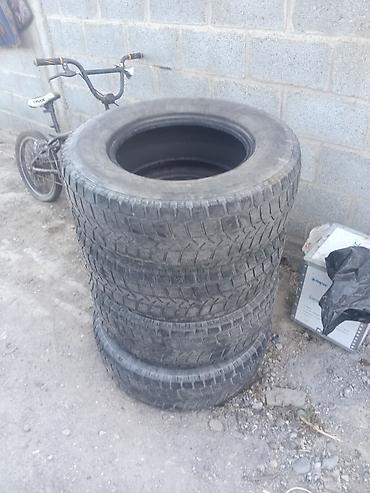 рекс морда: Комплект автомобильных шин Riesa 245/70 R16 107Q - Размер: 245/70 R16 — 2