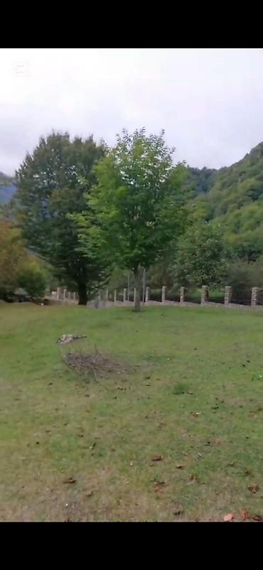 Torpaq sahələrinin satışı: Tikinti — 10