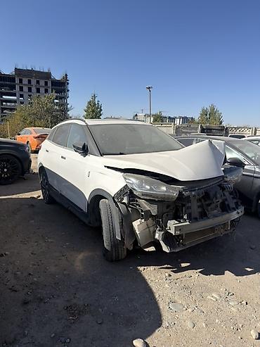 cl 63 2010: Weltmeister EX5, 2021 г., 100000 км, Передний, В наличии — 1